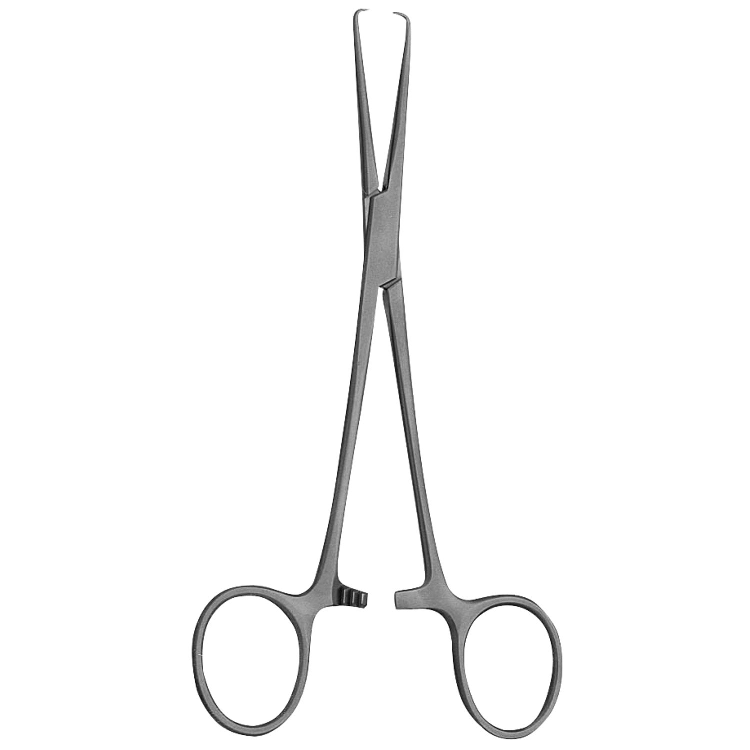 Sanders Vasectomy Forceps, 6 1/8" (15.6 Cm)